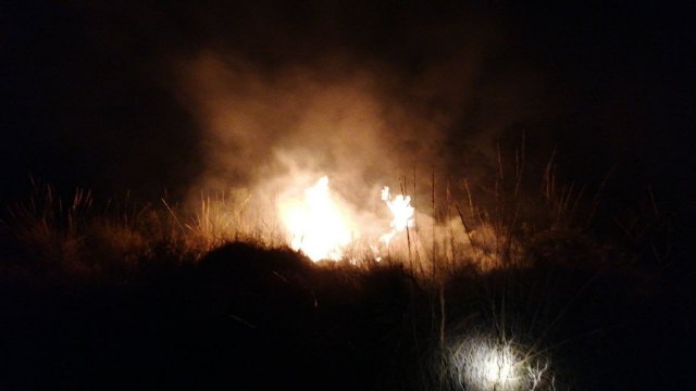 Conatos de incendios forestales en Jumilla y Yecla - 2, Foto 2