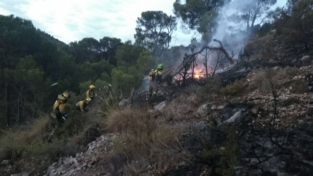 Conatos de incendios forestales en Jumilla y Yecla - 3, Foto 3