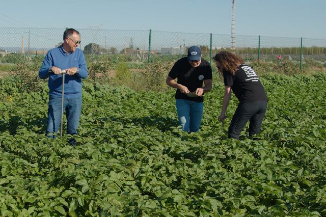 Bioestimular el suelo con microorganismos permite reducir el uso de fertilizantes en cultivos de patata - 1, Foto 1