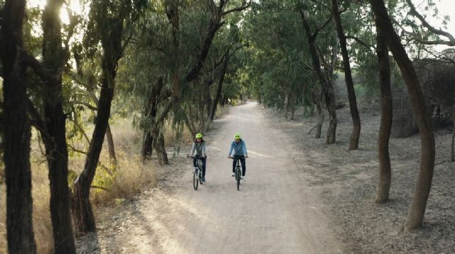 Convega impulsa la Marca Territorio de la Vega Baja con más de 50 acciones promocionales en 4 años - 3, Foto 3