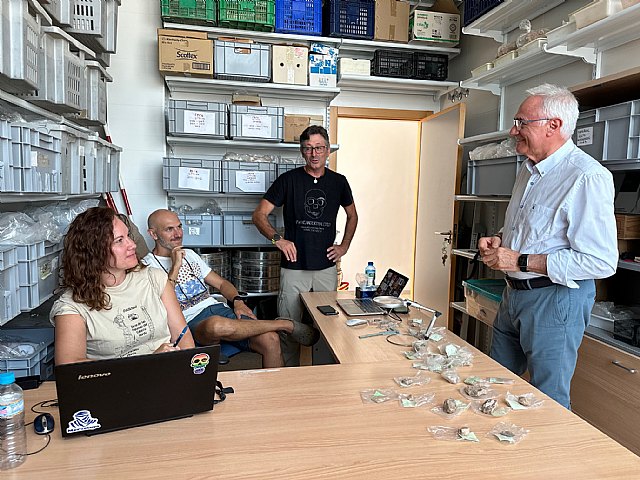 Trabajos de inventario y clasificación de restos de la Sima de las Palomas - 3, Foto 3