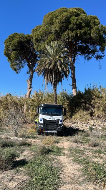 El Ayuntamiento realiza un segundo riego de emergencia en agosto para proteger los pinos centenarios de Churra - 3, Foto 3