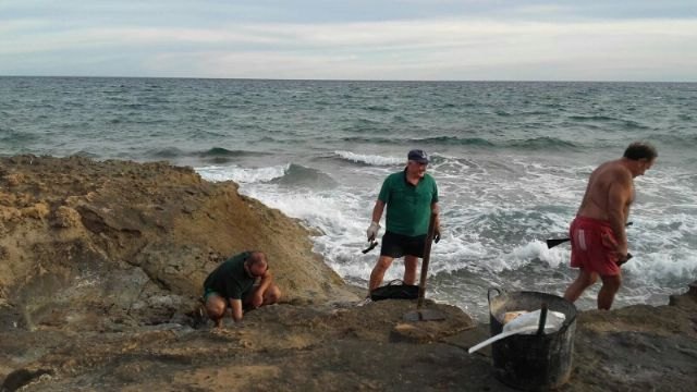 Las tareas de limpieza de la duna fósil del parque regional de Calblanque continúan este lunes - 1, Foto 1