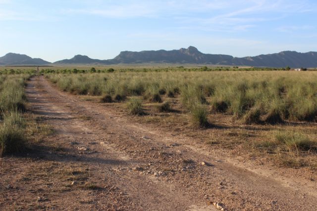 Piden a la CHS un informe sobre el riesgo del fracking para las aguas de la cuenca del Segura - 1, Foto 1