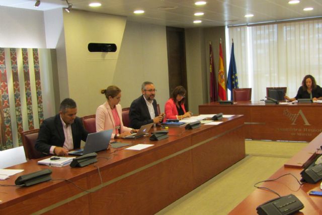 Isabel M.ª Soler: Ciudadanos se echa en brazos de Podemos para interferir en la comunicación del Gobierno regional - 1, Foto 1