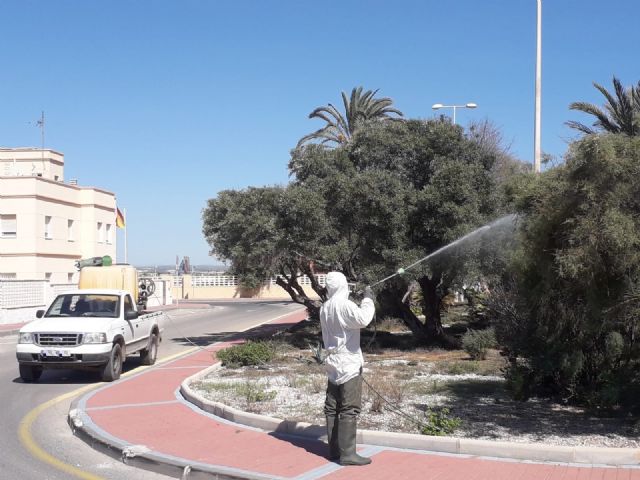 Sanidad refuerza el control de plagas ante la proliferación de mosquitos después del temporal - 2, Foto 2