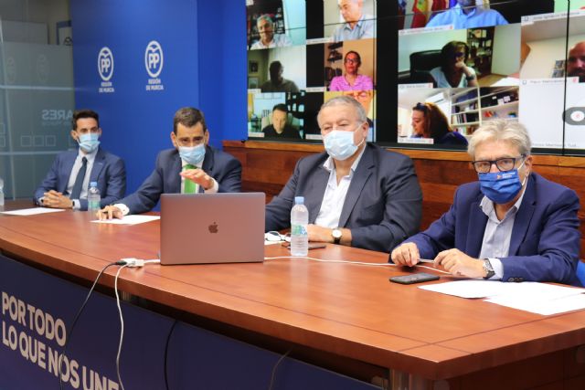 El PP impulsa una recogida de firmas para luchar contra la okupación ilegal y una ofensiva parlamentaria en los 45 municipios para lograr una respuesta firme ante esta lacra social - 1, Foto 1