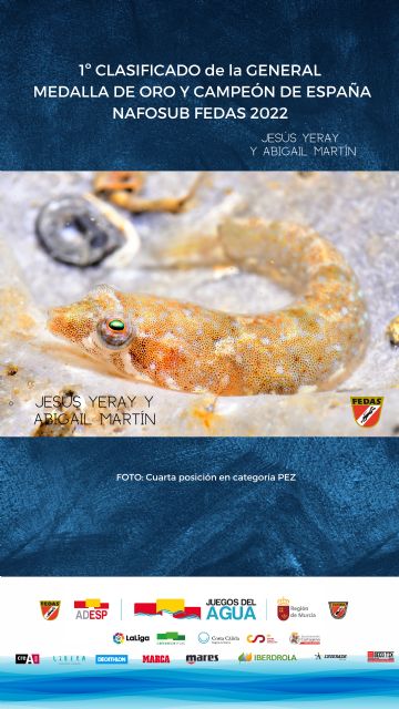 Cuarta jornada de los Juegos del Agua - 2, Foto 2