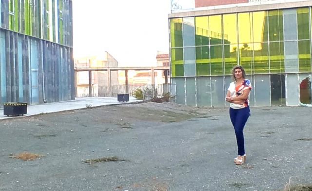 VOX presentará en el próximo pleno una moción para pedir la utilización de las instalaciones finalizadas del Auditorio - 1, Foto 1