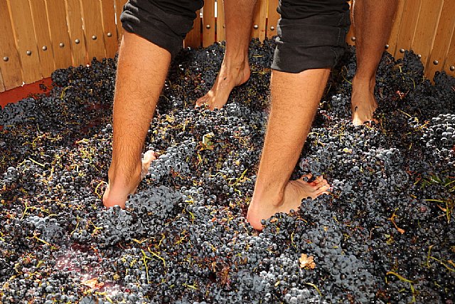 La Gran Fiesta de la Vendimia cierra su sexta edición consolidándose como el evento vitivinícola del año - 1, Foto 1