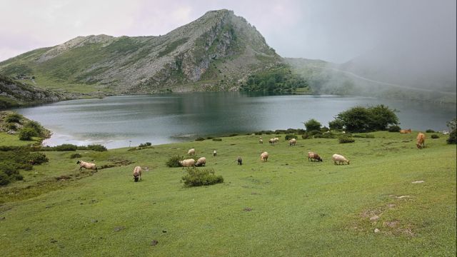 Rutas en autocaravana por Europa donde disfrutar de los paisajes (y los colores) del otoño - 3, Foto 3