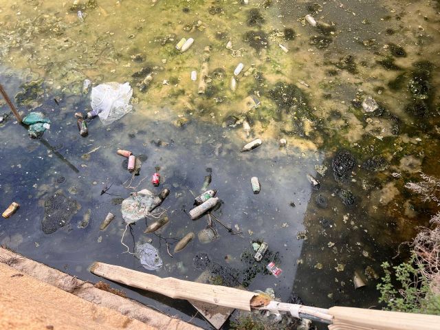 Huermur denuncia en Sanidad la insalubridad del canal de los Molinos del Río convertido en un vertedero - 2, Foto 2