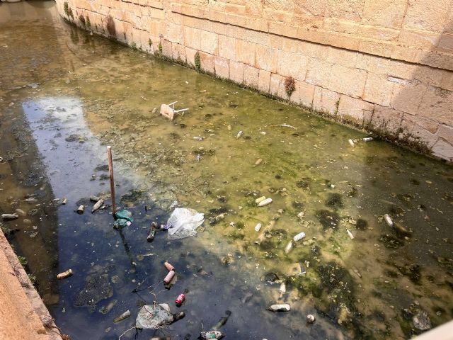 Huermur denuncia en Sanidad la insalubridad del canal de los Molinos del Río convertido en un vertedero - 3, Foto 3
