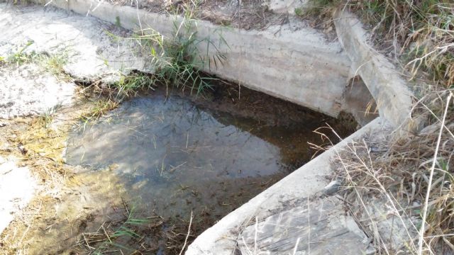 Huermur denuncia vertidos de plásticos, basura y purines al segura en Beniaján por las acequias - 1, Foto 1