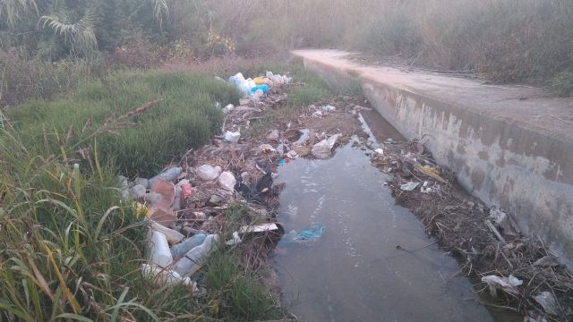 Huermur denuncia vertidos de plásticos, basura y purines al segura en Beniaján por las acequias - 3, Foto 3