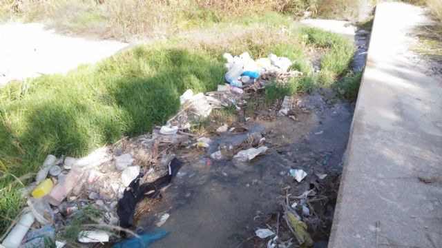 Huermur denuncia vertidos de plásticos, basura y purines al segura en Beniaján por las acequias - 5, Foto 5
