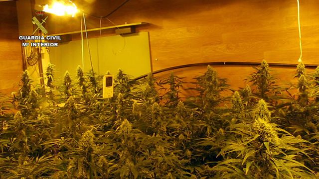 La Guardia Civil desmantela una plantación indoor de marihuana en Librilla - 5, Foto 5