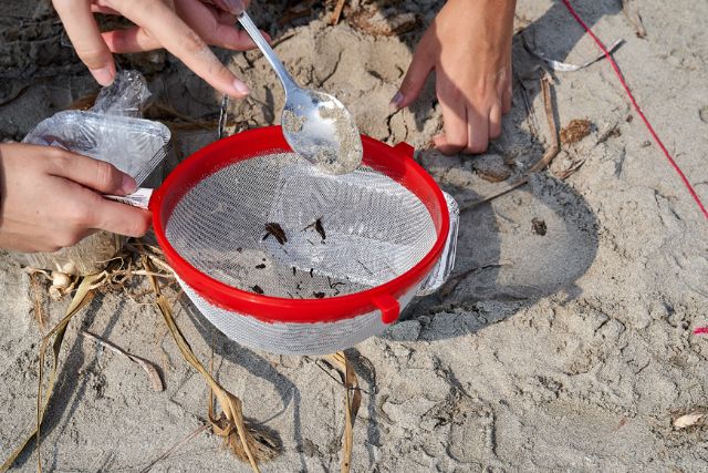 Sabic lanza la campaña de #clean4change por el día mundial de la limpieza - 3, Foto 3