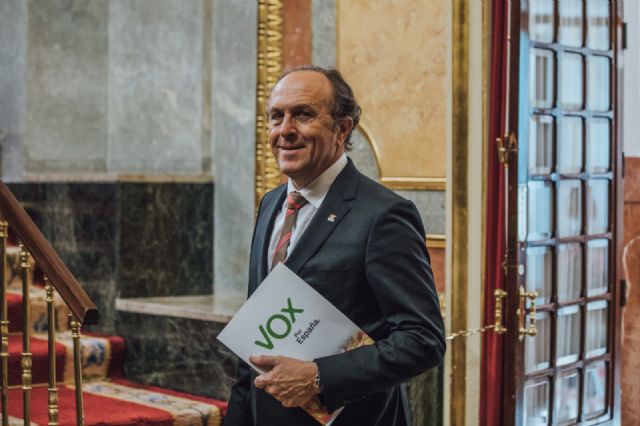 Luis Gestoso interviene en Bruselas en la comisión de control de la policía europea, EUROPOL - 1, Foto 1