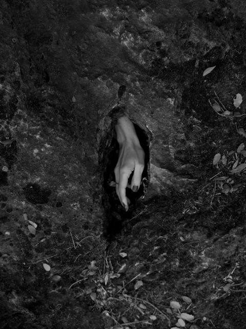 Este domingo 27 de octubre se inaugura en la sala de exposiciones temporales MATRIZ, una exposición fotográfica de Rocío Kunst - 3, Foto 3