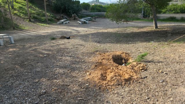El Plan Foresta contribuye a crear un nuevo bosque urbano de casi 200 árboles en Monteagudo - 3, Foto 3
