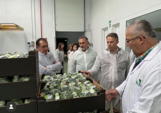 El PP se suma a la tractorada del 28 de octubre en Madrid para defender el futuro del campo de Lorca frente a las políticas del Gobierno de Pedro Sánchez - 3, Foto 3