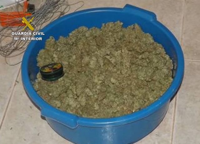 Cae en Fuente Álamo un grupo delictivo dedicado al cultivo ilícito de marihuana - 3, Foto 3