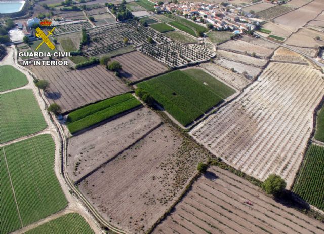La Guardia Civil esclarece las irregularidades en una producción de variedades de almendro protegidas - 1, Foto 1