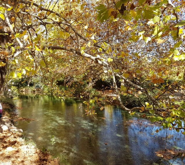 Representantes de la Agrupación de Regantes de Caravaca se reúnen con el Comisario de Aguas de la CHS para frenar los regadíos ilegales - 2, Foto 2