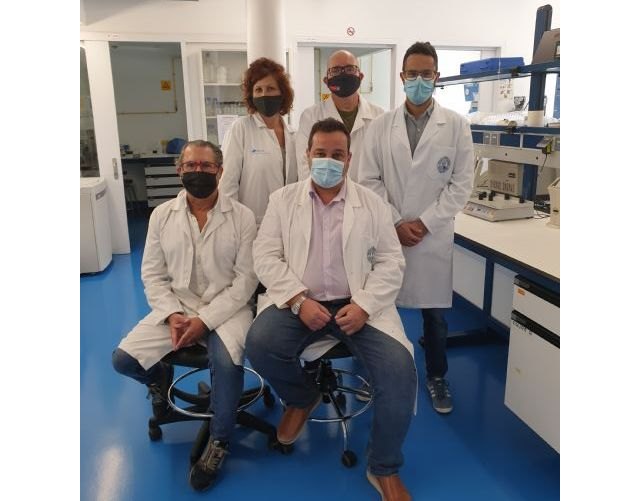 Investigadores de la UMU implantan exitosamente un nuevo tipo de lengua en roedores - 1, Foto 1