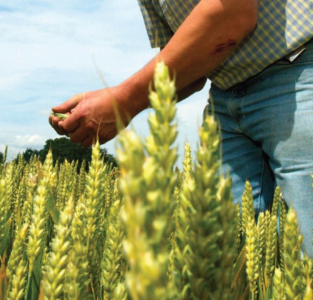 Fundación Ingenio apuesta por la inteligencia artificial para optimizar el uso del agua - 1, Foto 1
