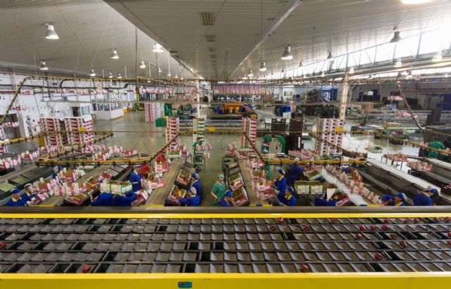 La hortofrutícola Costa de Almería se incorpora a Anecoop como nuevo socio - 1, Foto 1