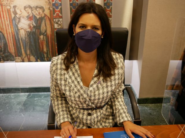 El PP crea una nueva figura, el crédito fiscal, para estimular la participación privada en proyectos de interés general - 1, Foto 1