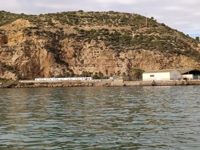 El Pleno del Ayuntamiento exige al Ministerio que aclare su intención de trasladar el CATE fuera de El Espalmador - 1, Foto 1