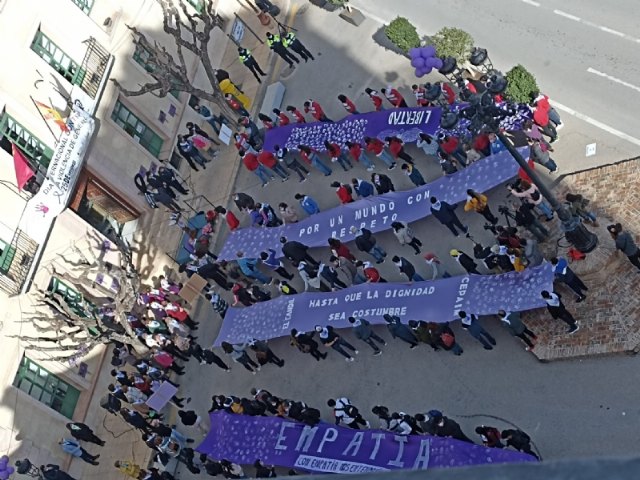 Se celebra el acto institucional para conmemorar el Día Internacional de la Eliminación de la Violencia contra la Mujer, Foto 1