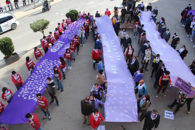 Se celebra el acto institucional para conmemorar el Día Internacional de la Eliminación de la Violencia contra la Mujer, Foto 3