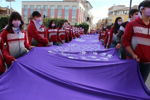 Se celebra el acto institucional para conmemorar el Día Internacional de la Eliminación de la Violencia contra la Mujer, Foto 4