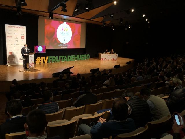 La Región se consolida como la primera exportadora de albaricoque de España con 37.082 toneladas, el 39 por ciento del nacional - 1, Foto 1