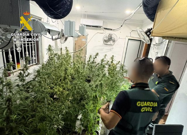 La Guardia Civil desmantela en Abanilla un grupo delictivo que cultivaba gran cantidad de marihuana - 1, Foto 1