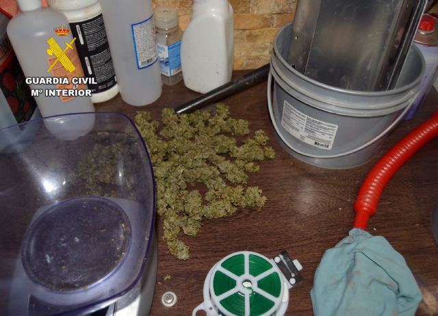 La Guardia Civil desmantela en Abanilla un grupo delictivo que cultivaba gran cantidad de marihuana - 4, Foto 4