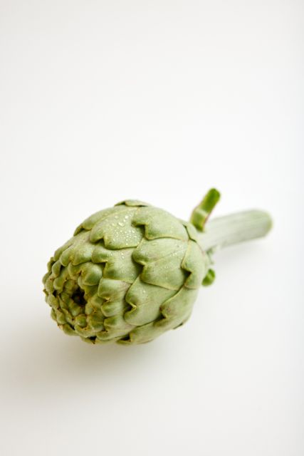 Una Europa más Saludable - 2, Foto 2