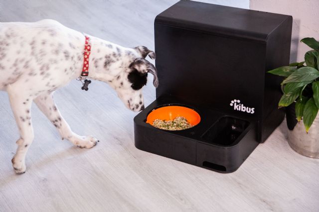 Las mascotas también son protagonistas del Black Friday - 1, Foto 1