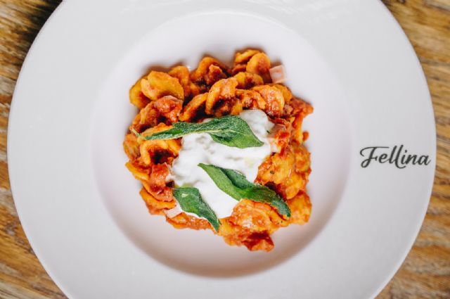 El grupo le cocó presenta la propuesta navideña 2025 de fellina para eventos y celebraciones - 5, Foto 5