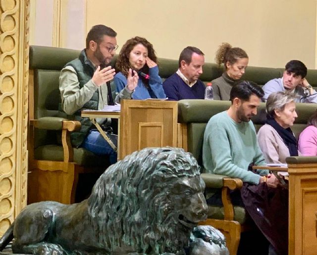 El PP y el PSOE vuelven a castigar a los jumillanos mientras VOX logra sacar adelante su moción en defensa de la libertad de circulación - 1, Foto 1