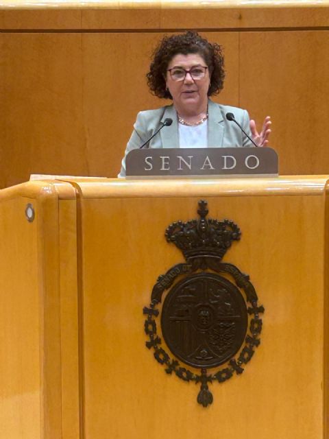 El PP exige al Gobierno la ejecución urgente de las obras hidráulicas para Murcia imprescindibles para proteger a las personas - 1, Foto 1