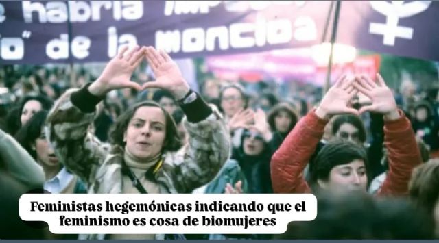 ¿Por qué no marchamos este 25N? - 1, Foto 1