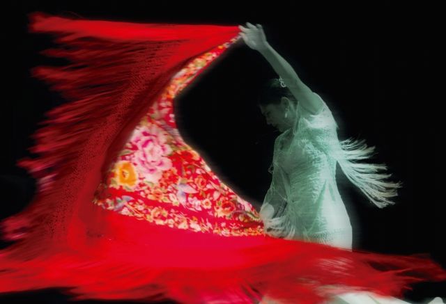 Cartagena albergará la VI edición del Congreso Internacional Universitario de Investigación sobre flamenco - 2, Foto 2