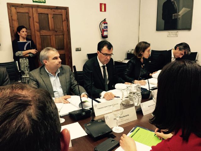 El Ayuntamiento de Murcia se incorpora a las comisiones de Bienestar Social y de Relaciones Internacionales de la FEMP - 1, Foto 1