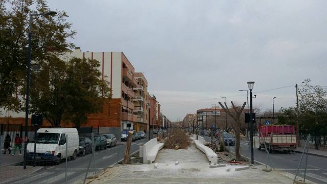 PSOE: El PP de Jódar e Ibarra sigue imponiendo el gris a Lorca con una nueva tala masiva de árboles - 1, Foto 1