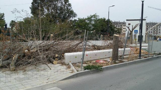 PSOE: El PP de Jódar e Ibarra sigue imponiendo el gris a Lorca con una nueva tala masiva de árboles - 2, Foto 2